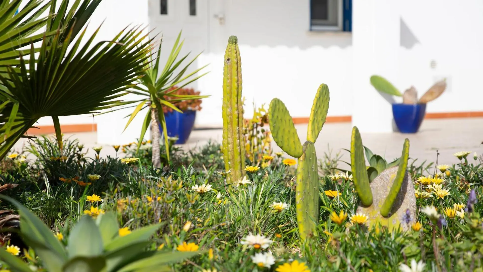 Marecasa Villa Aljezur